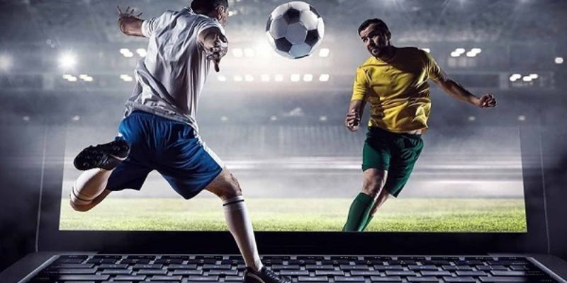 Vì sao cần hiểu rõ luật cược chấp chung?